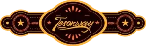 Tesonway VIP logo