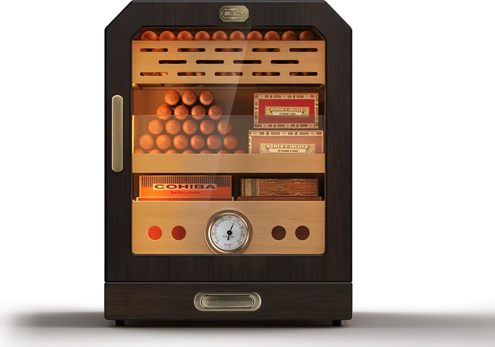B0DCBBBYHN humidor