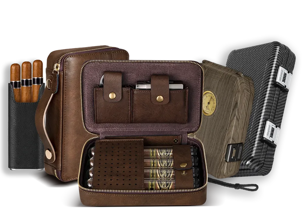 Tesonway travel cigar humidor banner3
